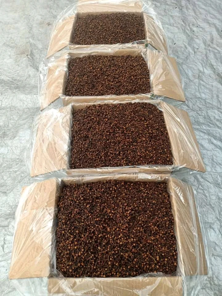 Best Price Natural Dried Whole Clove Spice Spices Supplier Wholesales Hot Spicy Herb Food Raw Export Pattern Drying Process Ad