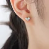 ear studs