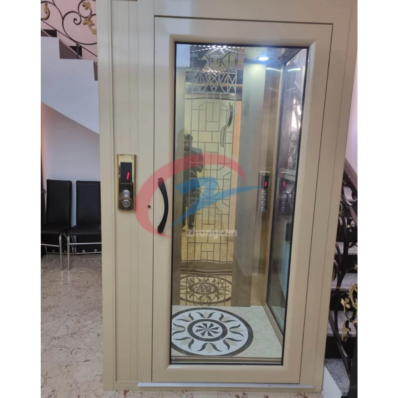 Auto-door Star Ceiling Home Elevator Hydraulic Passenger Lift for Villa Apartment Hotel Outdoor Use 2-4 People Modern Design