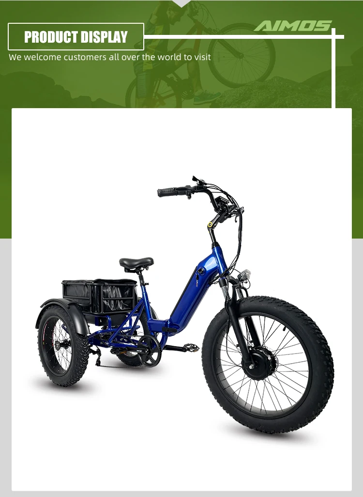 Folding Trikes Cargo Electric Tricycles 48v 750w With 24inch Front Wheel And Aluminum Alloy 5750