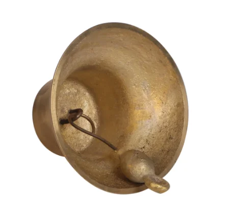 Морской туманный колокольчик