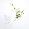 Long Clematis