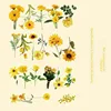 B Brume ensoleillée - Jaune