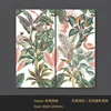 ป่าฝนเขตร้อน