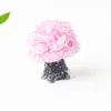 Quartz rose foncé coloré