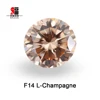 F14 L-Champagne