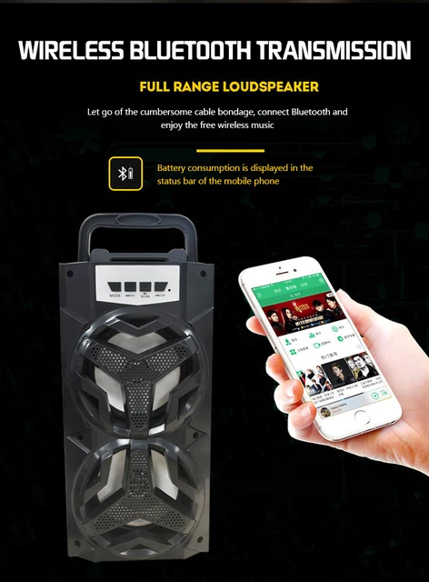 Haut-parleur de karaoké portable Bluetooth Singtronic BT-1010Pro gratuit :  2 x m
