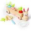 Le chariot à tirer pour lapin peut couper les navets