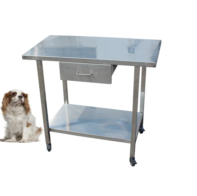 Veterinary Tracheal Bracket Wall Mounted Hook And Wall Mount Folding