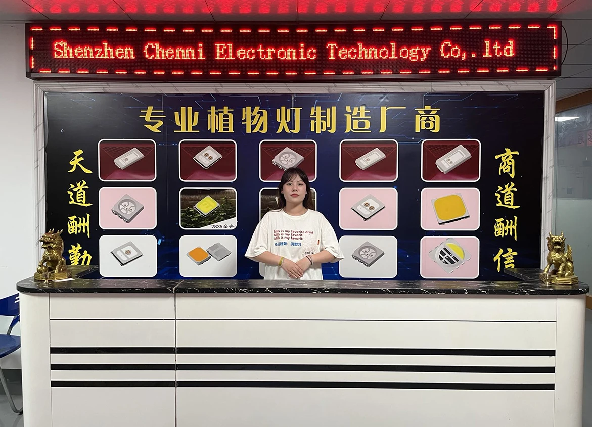 Shenzhen Chenni Electronic Technology Co., Ltd. 3