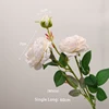 3-head peonies-white