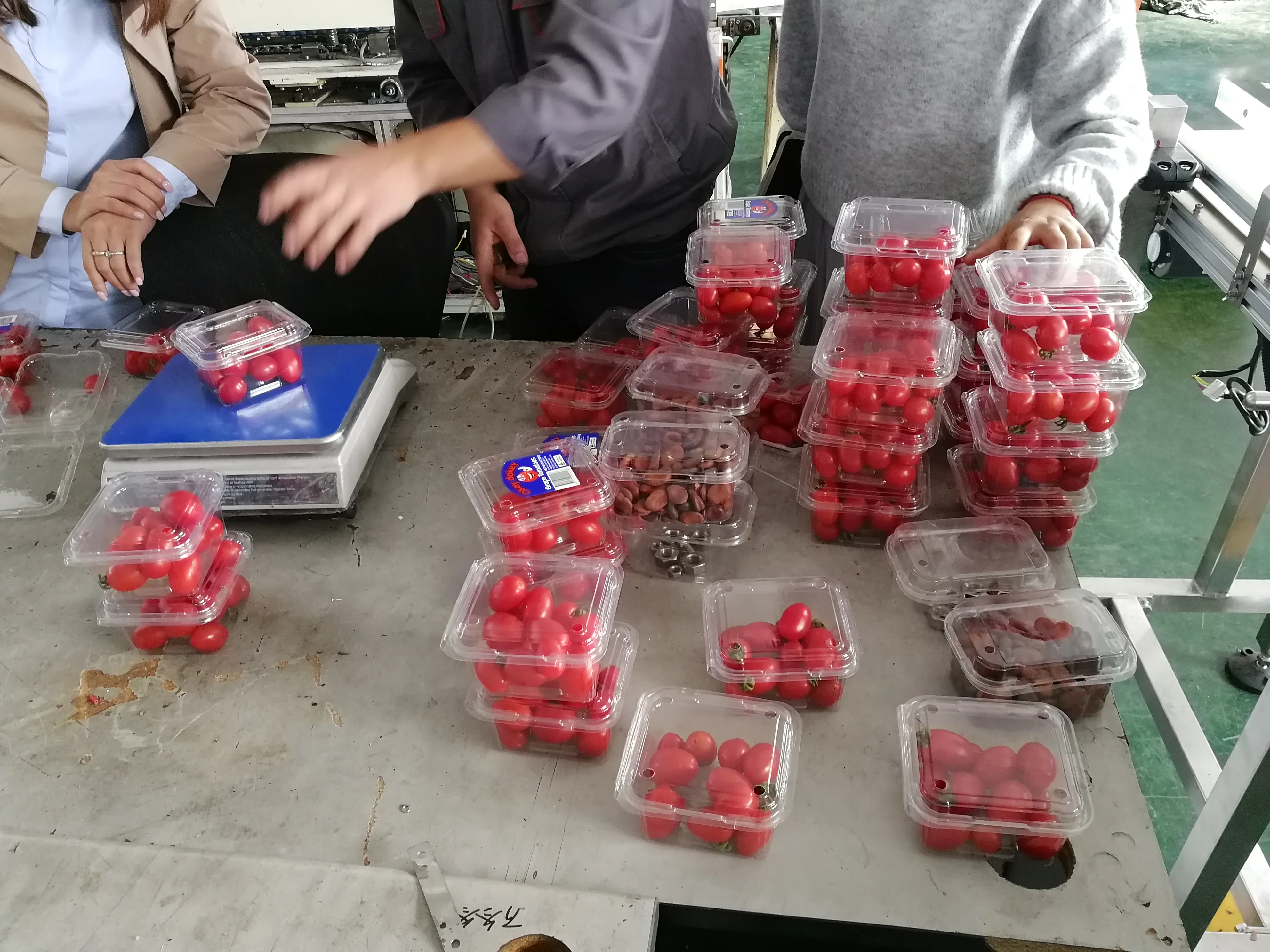 Automatic 10/14 Heads Weigher Scale Cherry Tomatoes Clamshell Punnet Tray Weighing Multihead Weigher for Packaging Machine
