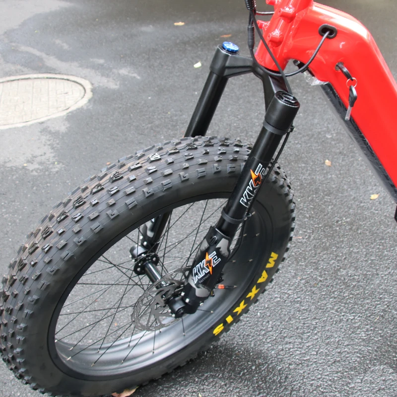 Bafang Automatic Inner Hub 5 Speeds Electric Fat Bike Gates Belt Drive Electric Bicycle 1000W With M620 Dual Batteries Ebike