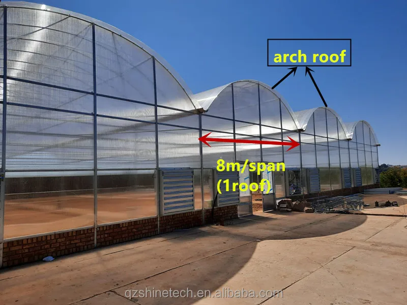 modern farms greenhouse
