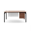 Elm+White-2
