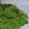 Dark green filamentous moss 500g