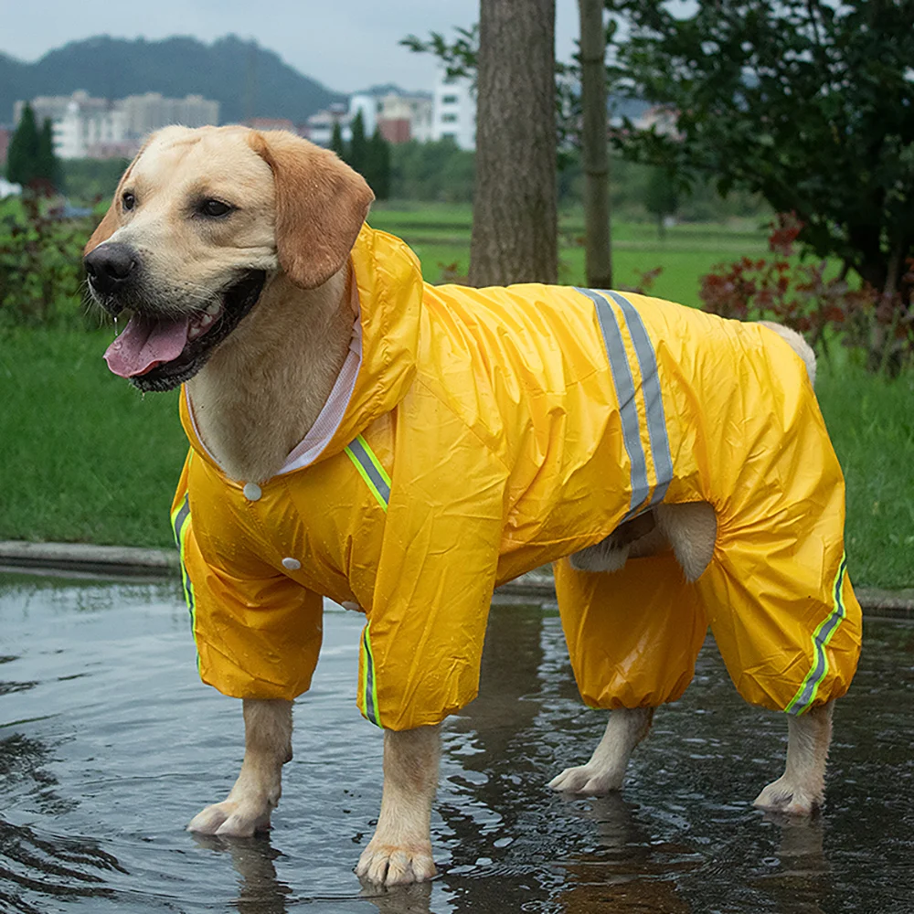 dog raincoat online