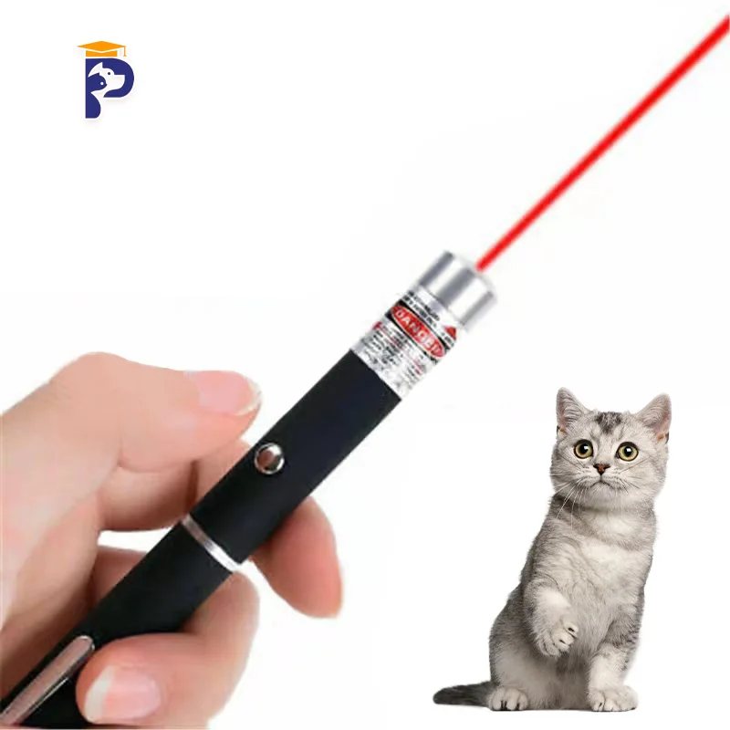 cat green laser pointer