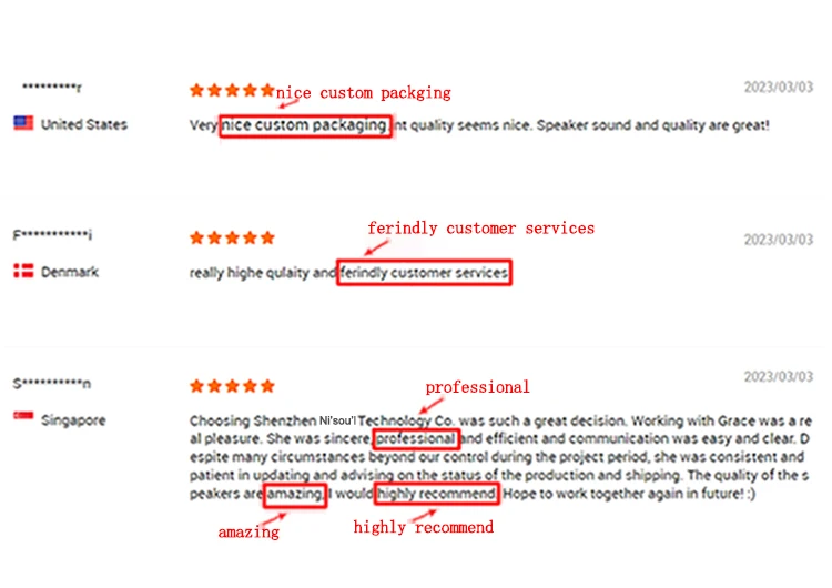 Nisoul Green Long Range High Power Laser Pointer Jd301 Laserpointer