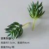 ถั่วสีเทาสีเขียว