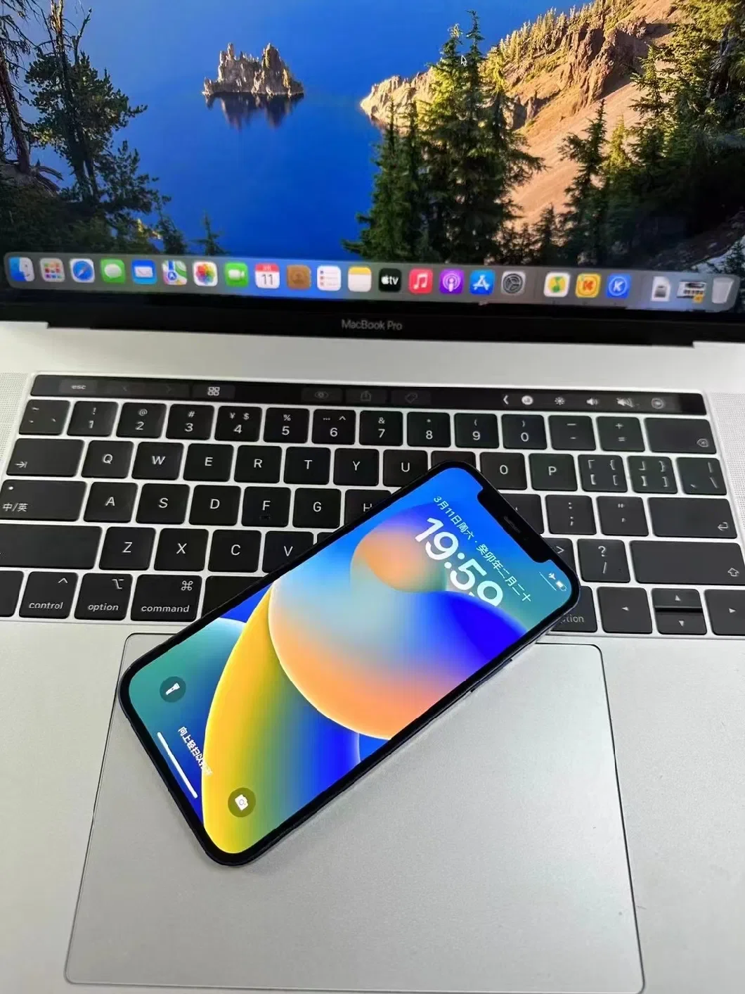 Apple Inc. visual data 8