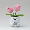 Polvo profundo de flor doble de tulipán