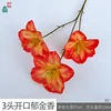 ทิวลิปเปิด 3 หัว (BD, สีส้ม)