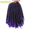 1B-Purple