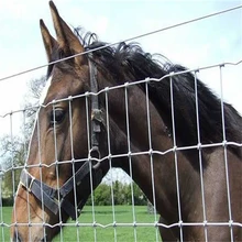 Galvanized Fixed Knot Field Fence for Cattle Sheep Horse Low Maintenance Steel Wire Trellis for Yards Livestock Fence