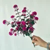 5 fork flower hydrangea rose red
