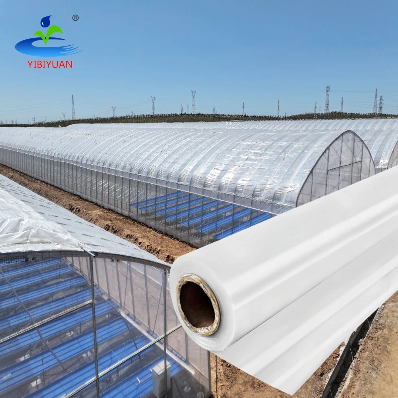 Agriculture Greenhouse PE Film 200 Micro 12m UV Resistant Sheets UV Protected Green House Cover Blow Molding Custom Cutting