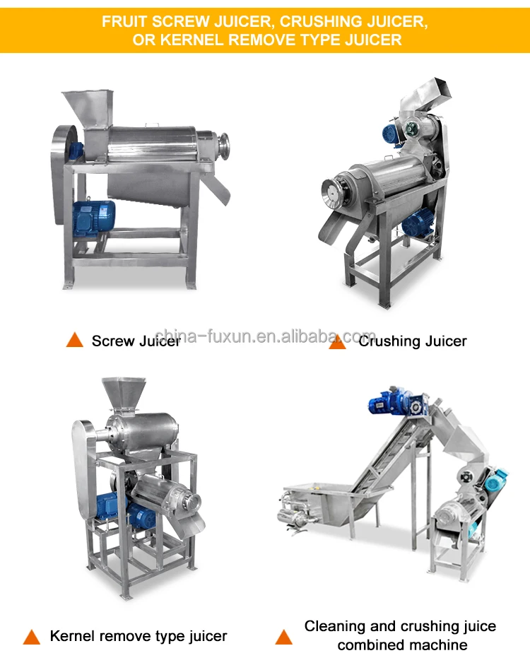 High Quality Commercial Fruit Orange Apple Juicer Ginger Mango Lemon Pineapple ColdPress Juice Extractor Machine Production Line