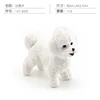 127-3055 Bichon Frisé 11g