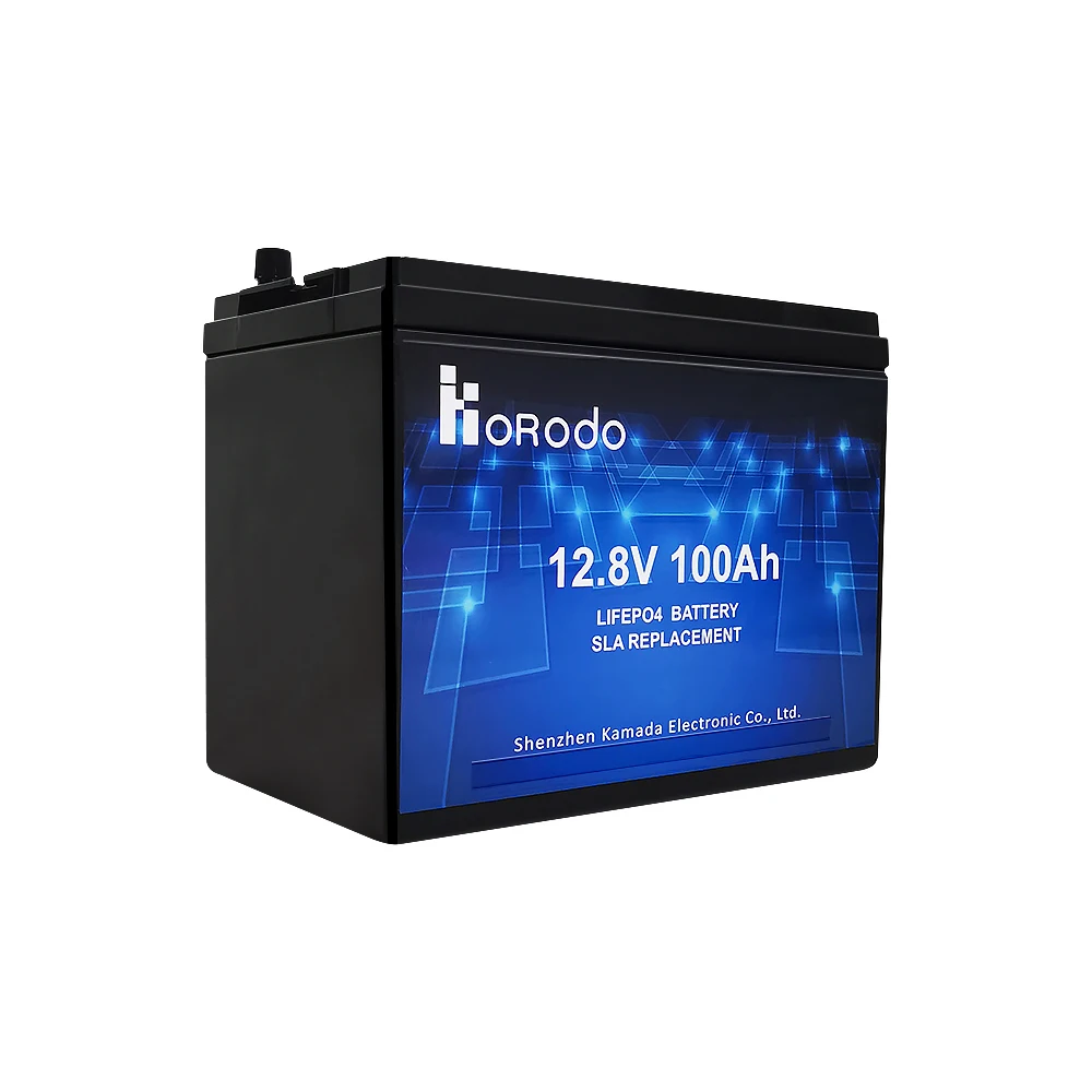 OEM/ODM 12V 100AH lifepo4 li ion storage battery 12v deep cycle battery for segway