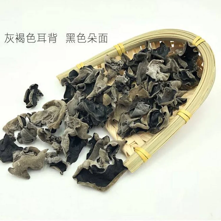 edible fungus