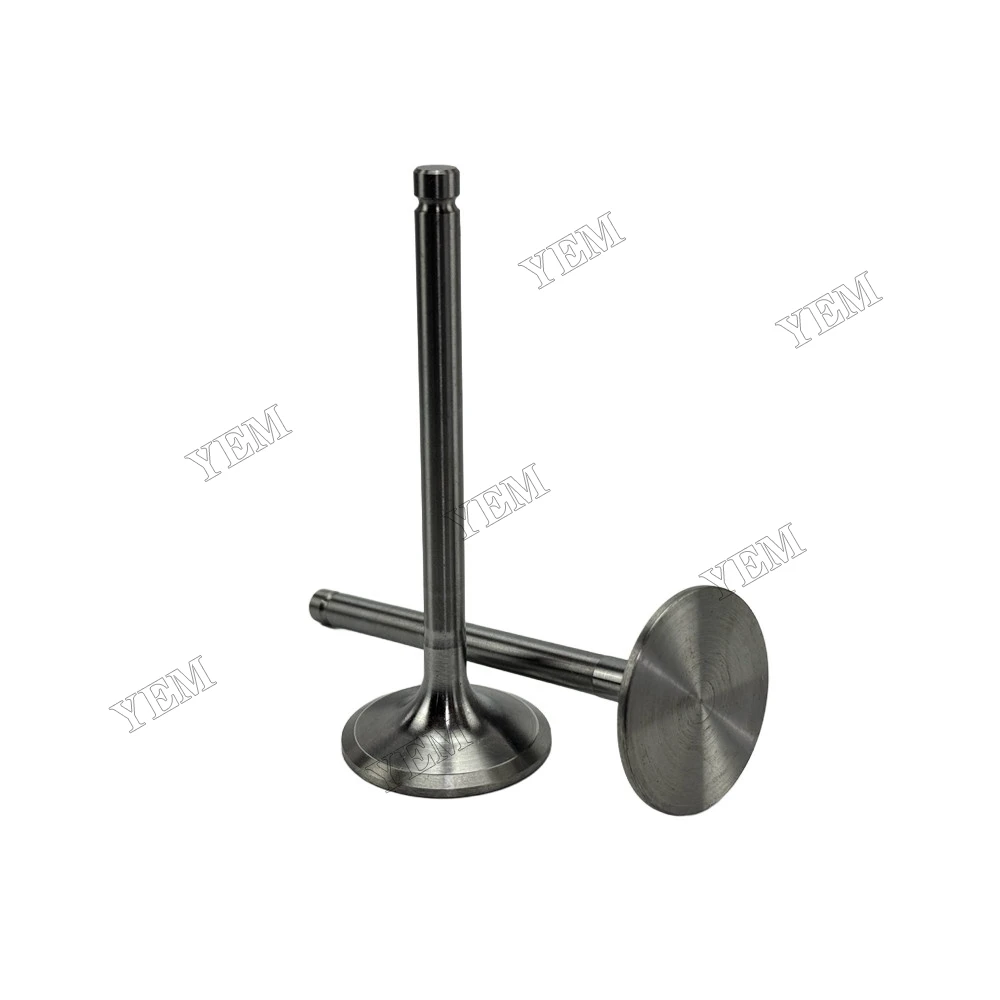 Intake Valve Fit for Yangdong Y4102D Engine 2
