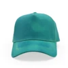 Paon Bleu