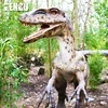 Velociraptor