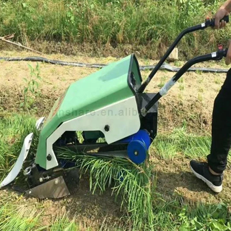 Fennel Harvesting Machine Leek Cutter Spinach Cutting Machine