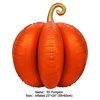 Zucca 2