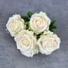 Rose Ronde 7 Têtes - Champagne