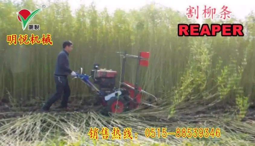 Wicker Cut Machine, Wicker Harvester