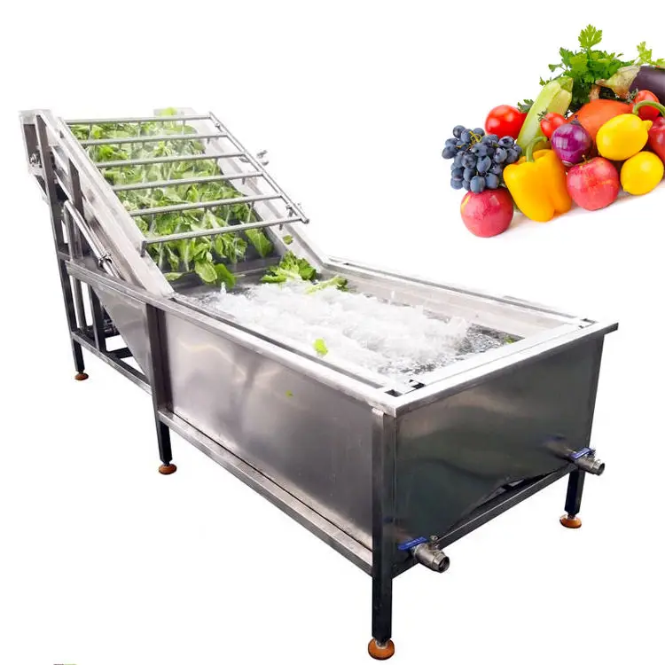 Multifunctional Broccoli Washer Double Bubble Apple Cleaner Ozone System Mussel Washing Equipment