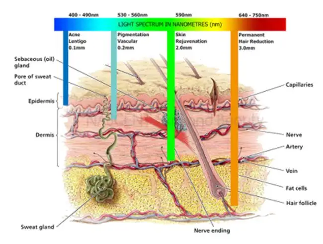 KES 120C IPL Hair removal machine for beauty salon