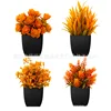 Four potted plants in autumn colors [small black squares]