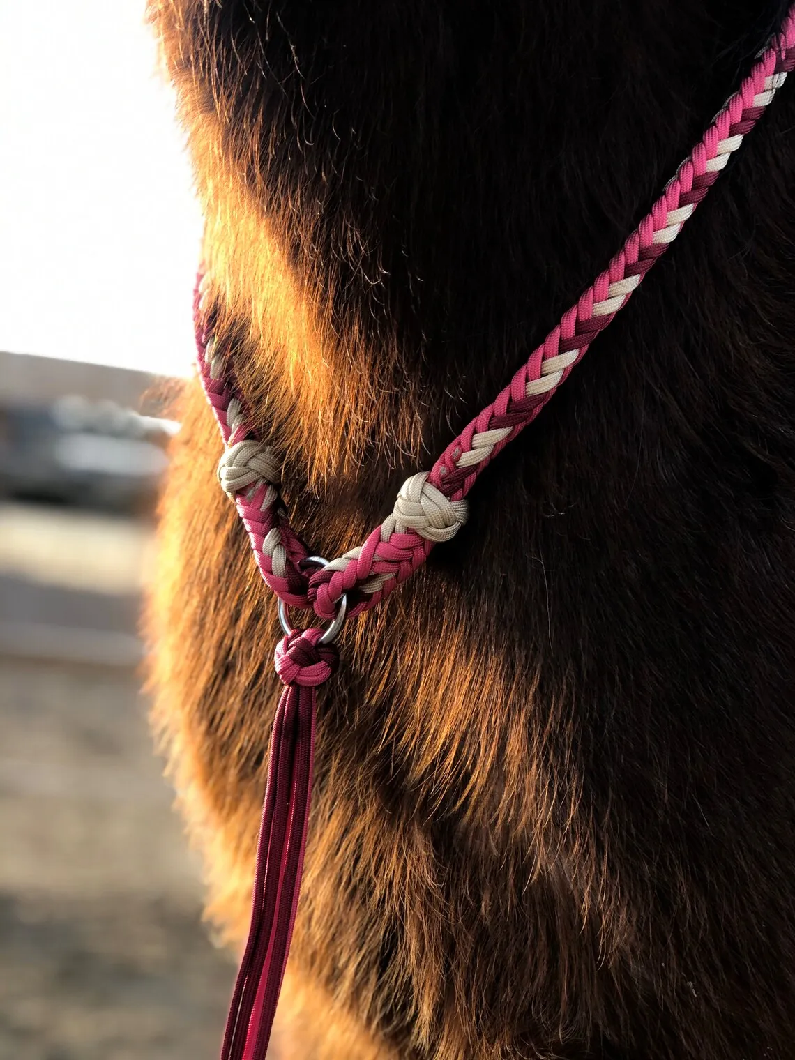 soft rope liberty bridleless tackles horse