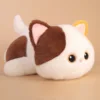 Three-colored cat