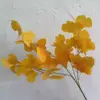 #3 ginkgo biloba leaves