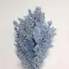 GRAY blue