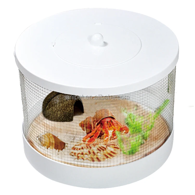 braided bully sticks bulk